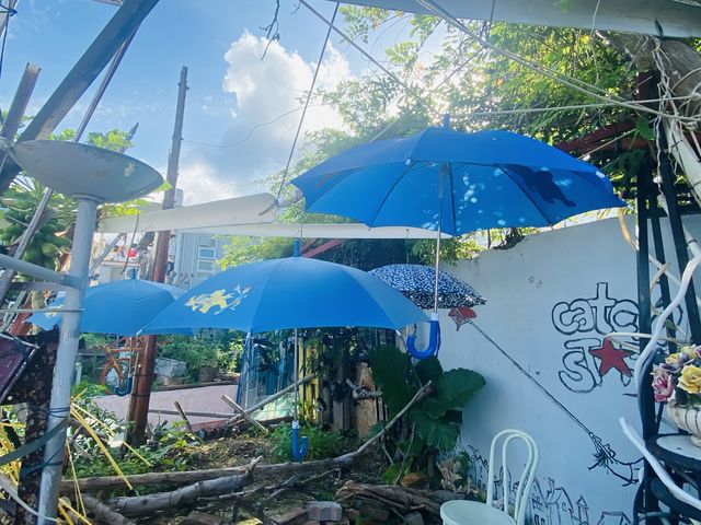 近在咫尺的秘密花園｜坪洲