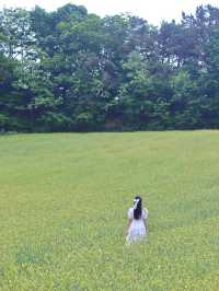초록초록 윈도우 배경화면이 생각나는 카페🌾💚