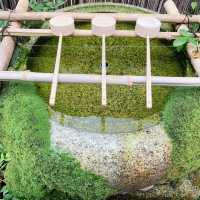 【京都】癌封じで有名な「平等寺」
