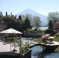 富士山🏔下音🎶🎼主題花園🌳