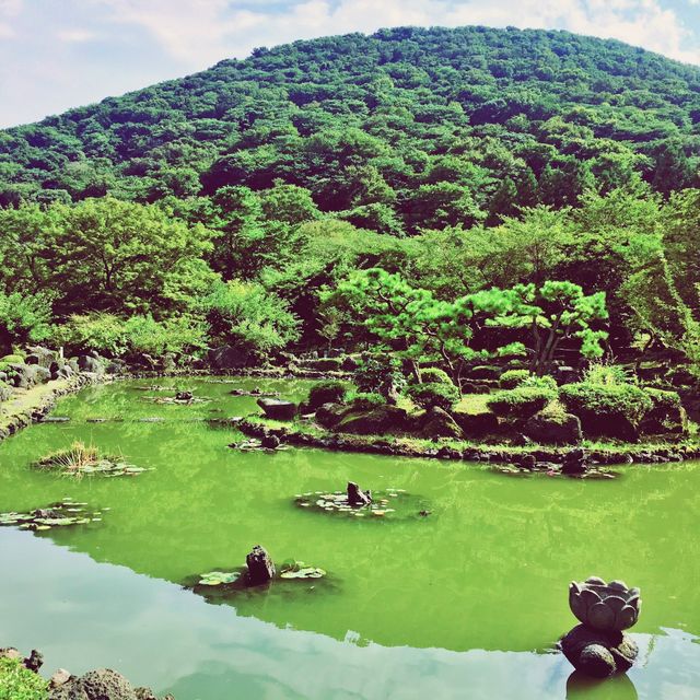 🌳 한라산에서 즐기는 숲캉스, 절물자연휴양림