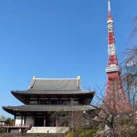 【東京】夜と朝の増上寺