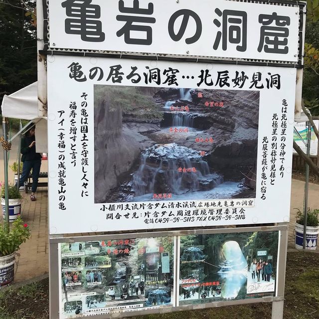 亀岩の洞窟📸️日本神秘美景