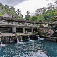 Holy Water at Tirta Empul Bali Indonesia 