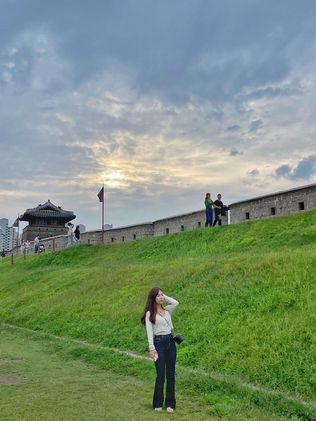 행궁동 속 작은 코스모스 밭 💐