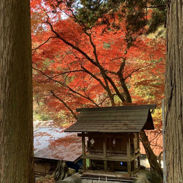 紅葉が素晴らしく　即身成仏のミイラがある珍しいお寺