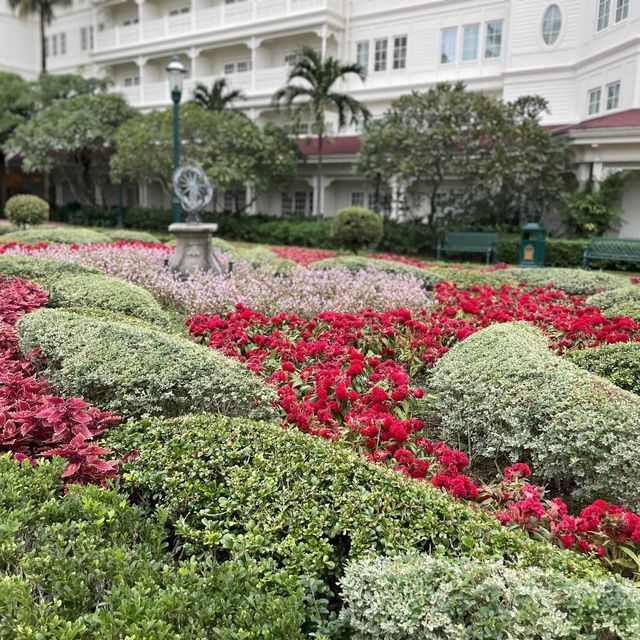 迪士尼迷宮花園🌸