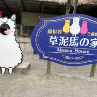 新竹綠世界 又跑又跳 超近距離看動物 小孩放風好地方