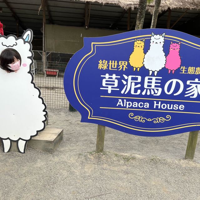 新竹綠世界 又跑又跳 超近距離看動物 小孩放風好地方