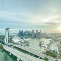 Singapore Flyer - นั่งกระเช้าชมวิวเมือง 360 องศา
