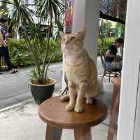 Compilation of Johor Bahru cafes near customs 