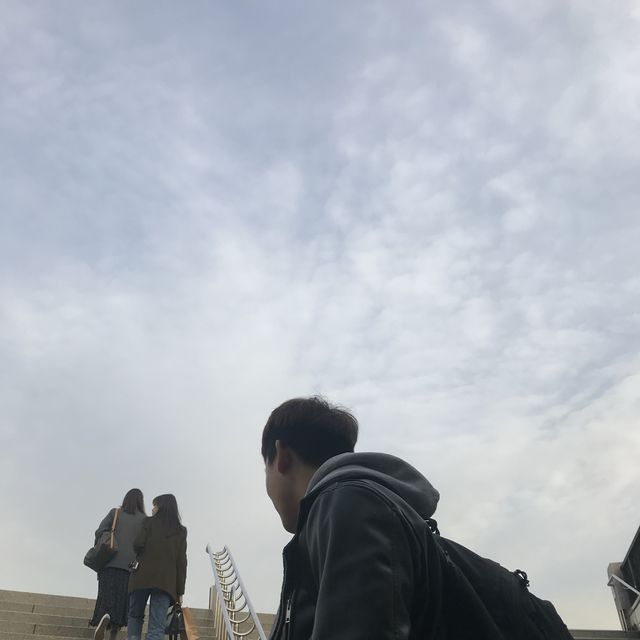 올림픽공원에서 단풍 즐기기🍁🍂