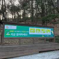 가야산으로 가야해!
