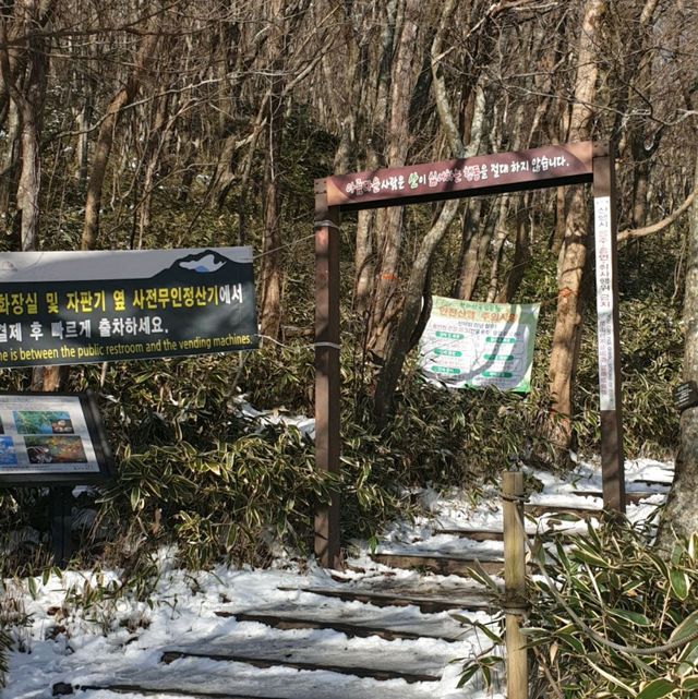 무조건 눈이와야합니다