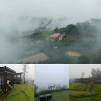 180 All day All season @ Khao Kho