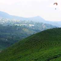 PARAGLIDING KEMUNING