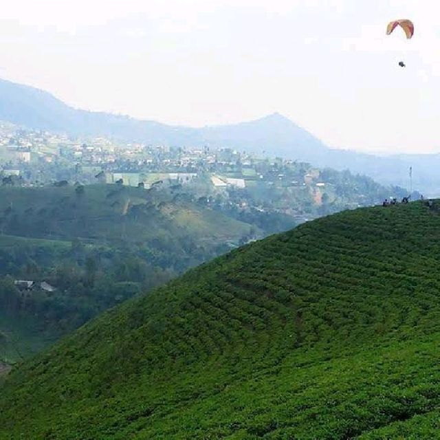 PARAGLIDING KEMUNING
