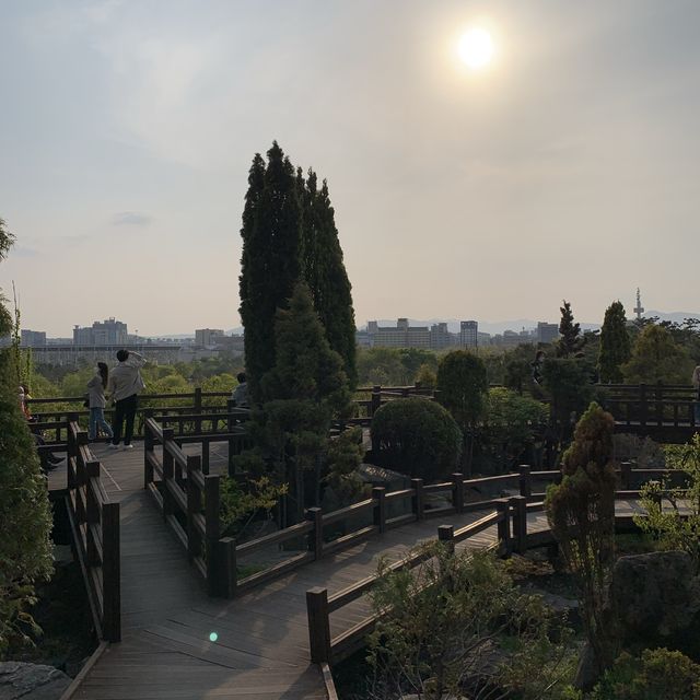 대전오면 한밭수목원🌲🍃