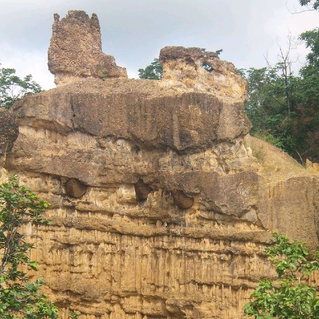 ผาช่อ@อุทยานแห่งชาติแม่วาง