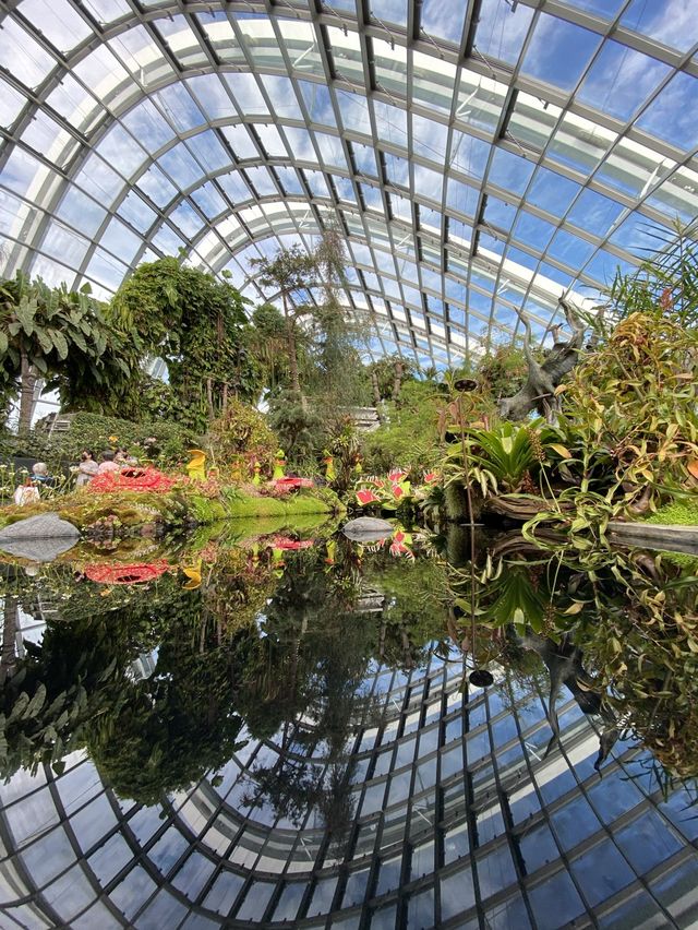 Flower dome and cloud forest 🌸