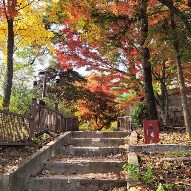 [풍경 핫플] 단풍이 아름다운 산_북악산