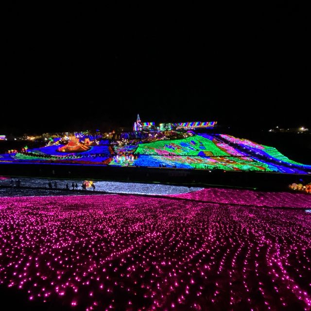 東京ドイツ村のイルミネーション