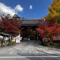 【京都】永観堂の美しい紅葉🍁