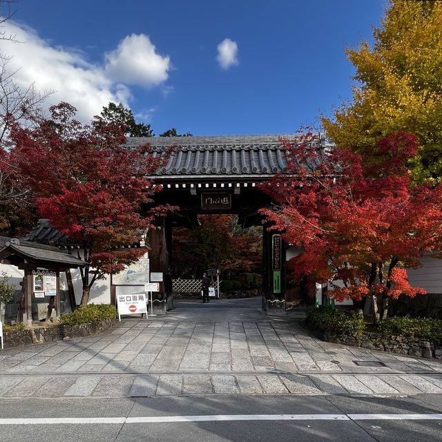【京都】永観堂の美しい紅葉🍁
