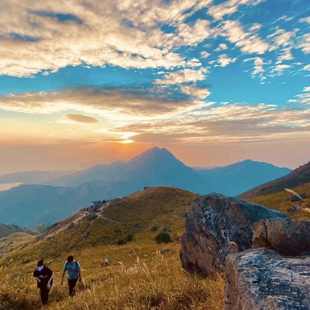 行山推薦 | 大東山🧗🏻♀️芒草之地🌾 行山推薦 | 大東山🧗🏻♀️芒草之地🌾