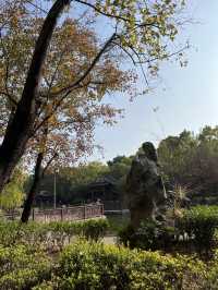 🏯古裝劇取景必去- 美孚「嶺南之風」🌺🏯