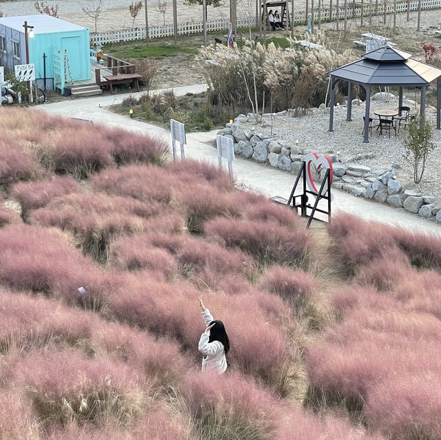 강원도 강릉시 호린파크에서 해외를 느껴보세요
