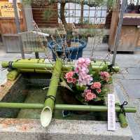 【京都】錦天満宮｜梅の花が咲いていました🌸
