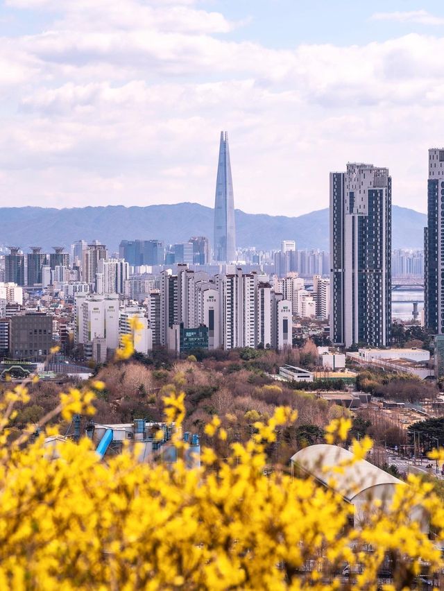 서울에서 개나리가 가장 예쁜 곳