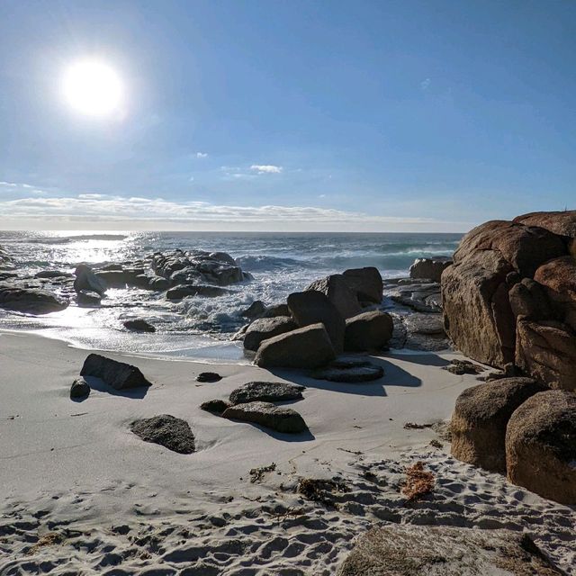 Soak in the sun and sea at Binalong Bay