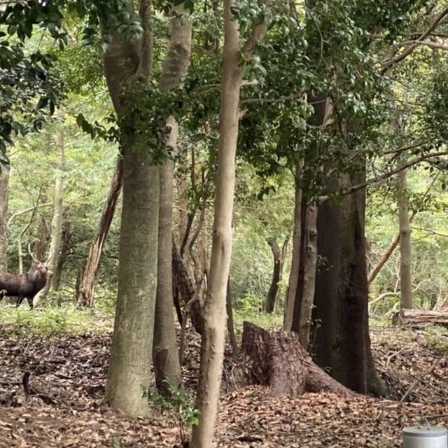 【鹿児島県】絶景の貸切風呂を堪能！
