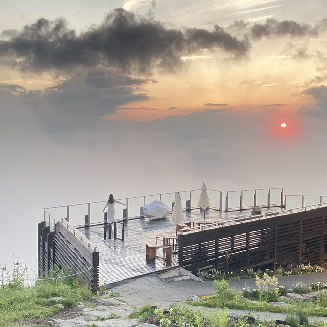 標高1770m！さあ、雲とたわむれよう🌤