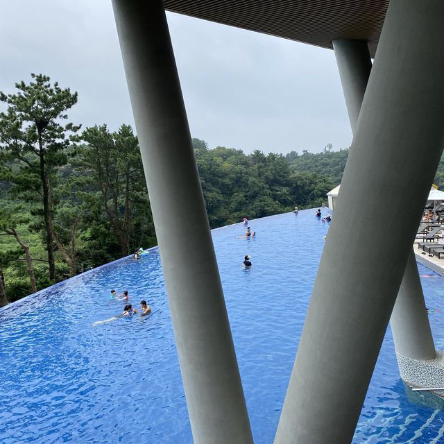 플로팅 요가하면서 숲캉스도 즐기는 제주 클리프호텔