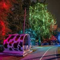 Romantic Mini I-City at Tanah Rata