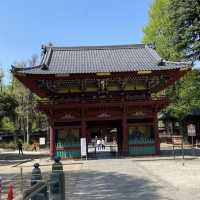 Nezu Shrine 