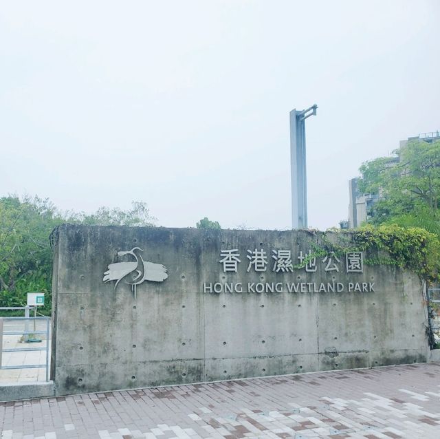 生態之旅 - 香港濕地公園