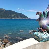 東澳//#粉鳥林漁港