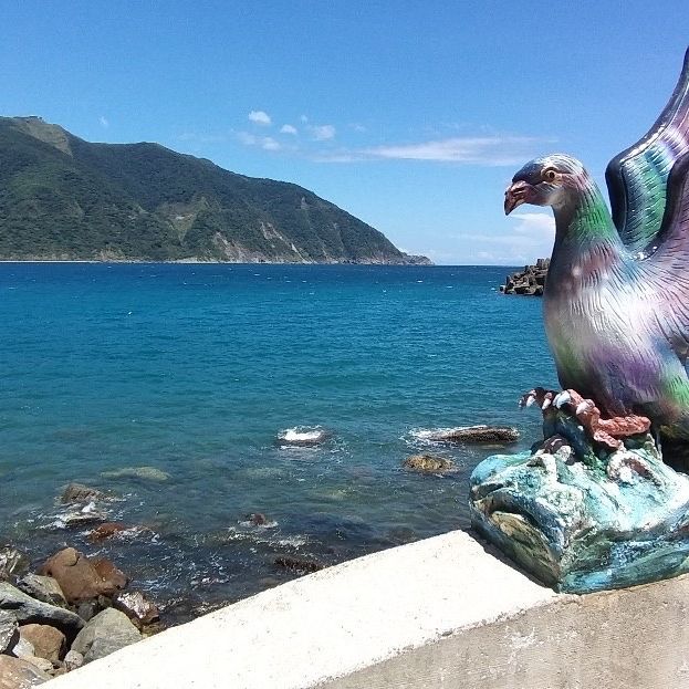 東澳//#粉鳥林漁港
