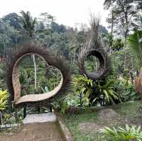 Experience at Tegallalang Rice Terraces