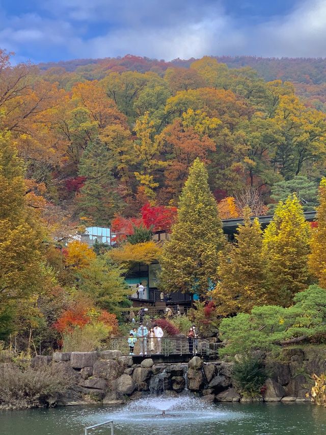 가을 단풍 명소 화담숲 미리보기🍁