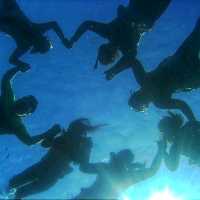 Snorkeling at the world's famous marine park