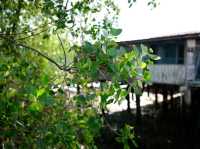 Kampong Ayer