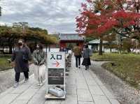 日本京都近千年的世界遺產｜平等院