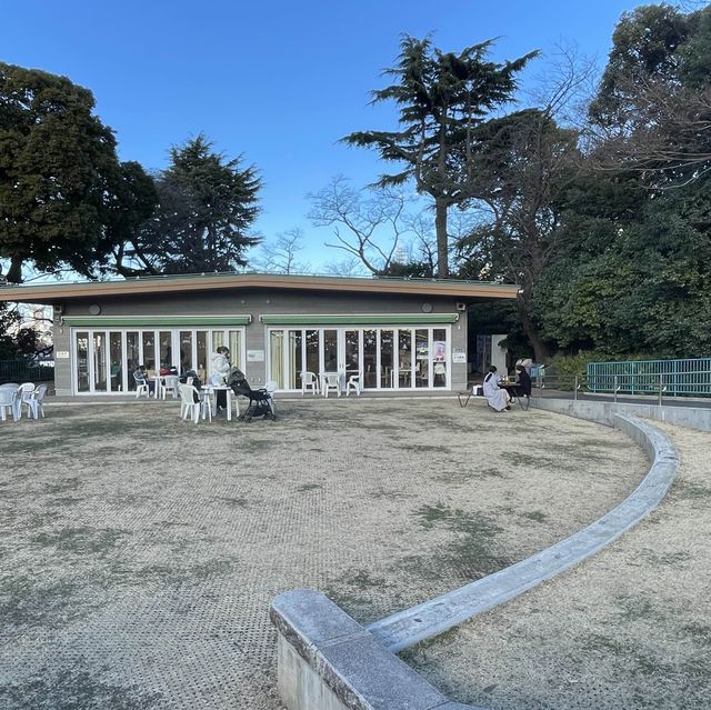 何度行っても楽しめる！無料の動物園♪