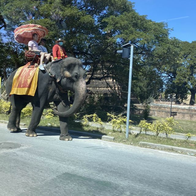 Ayutthaya, beautiful ancient city of ruins 