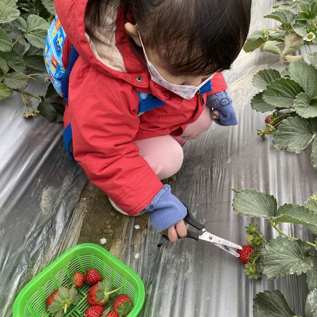 [親子郊外遊] 大棠有機生態園